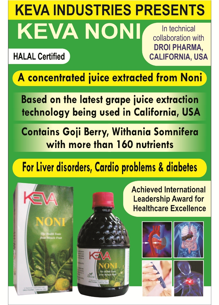 Divine noni business plan